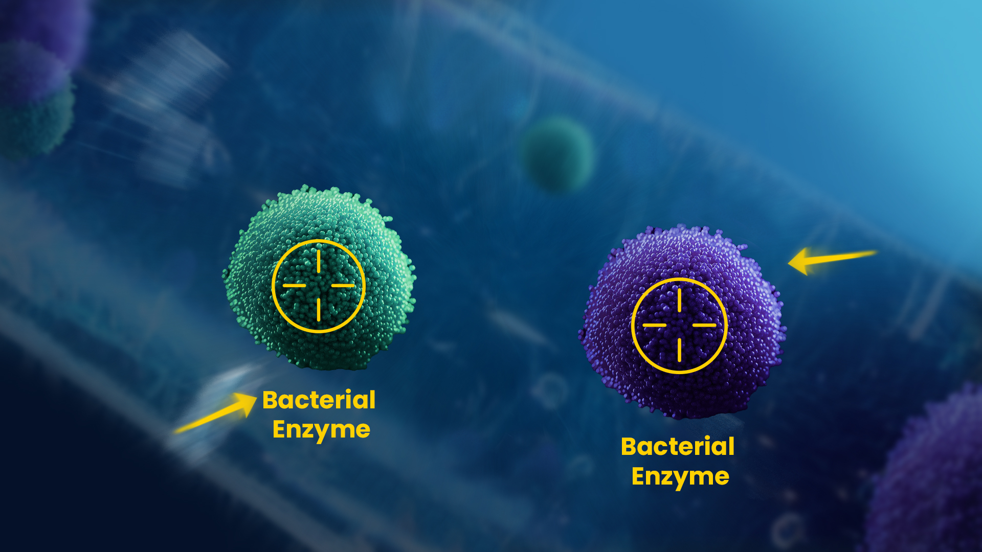 BLUJEPA mechanism of action 2